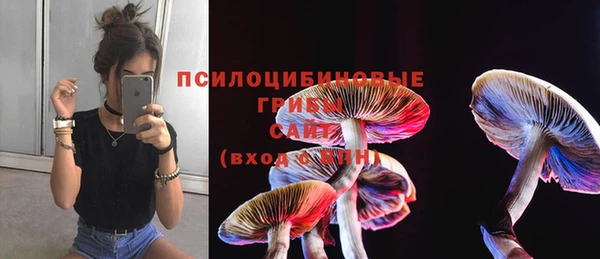 бошки Дмитриев