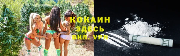 бошки Дмитриев