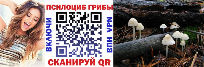 ОМГ ОМГ сайт  купить   Майский  Галлюциногенные грибы Psilocybine cubensis 