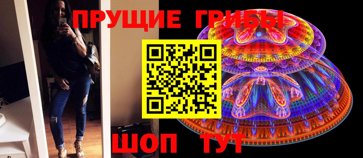 Галлюциногенные грибы Psilocybe  Вход с VPN  Майский 